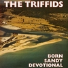 triffids - born sandy